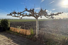 405Waterlandkerkje P.C. Boutenstraat 13 (10).jpg