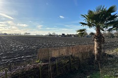 408Waterlandkerkje P.C. Boutenstraat 13 (16).jpg