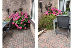 401acombifoto tuin 1.jpg