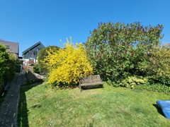 411Groede Voorstraat 48 5.jpeg