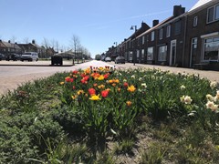 604Schoondijke Dorpsstraat 22 foto E(17).JPG