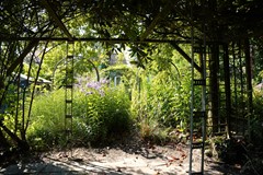 409Philippine Kasteelstraat 36 (33).JPG