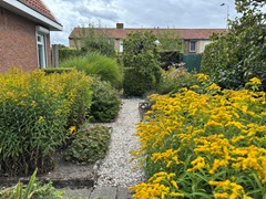 401Sluis Zuiddijkstraat 35 (7).JPEG