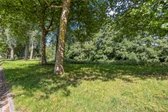 AdriaanKluitstraat931065XSAmsterdamNL-42.jpg