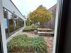 WhatsApp Image 2024-11-13 at 14.06.04 (2).jpeg