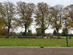 WhatsApp Image 2024-11-13 at 14.05.54.jpeg