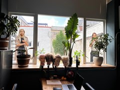 WhatsApp Image 2025-03-18 at 14.35.24 (1).jpeg