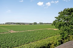 Stoofdijk34651PJSteenbergen-52.jpg
