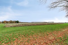 Steenbergen - Van Nispenstraat 15 - Buuron & Kuipers Makelaars-30.jpg