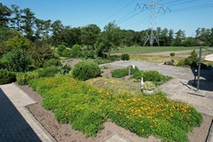 DJI_0956.JPG