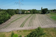 DJI_0945.JPG