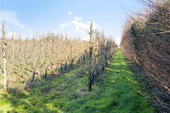 Steenbergen - Afgeslechtedijk 29 - Buuron & Kuipers Makelaars-20.jpg