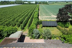 Koop:Afgeslechtedijk 29, 4651 RK Steenbergen - Foto