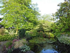 DSCN2491.JPG