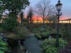 IMG_3341.jpeg