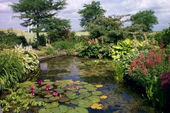 tuin_0411.JPG