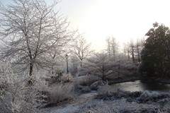 DSC01665.JPG