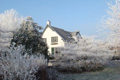 DSC01667.JPG
