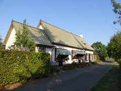 DSC08102.JPG