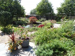 DSC08117.JPG