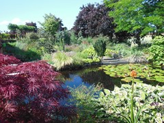 DSCN1878.JPG