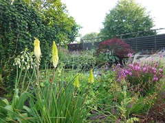 DSCN2488.JPG