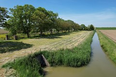 Koop:Schenkeldijk 9, 4671 TH Dinteloord - Foto