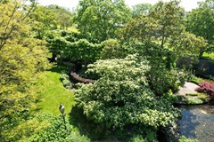 DJI_0794.JPG