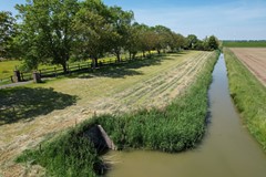 DJI_0799.JPG