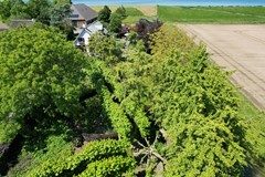 DJI_0797.JPG