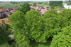 DJI_0714.JPG