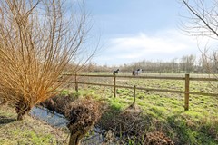 Steenbergen - Welbergsedijk 50 - Buuron & Kuipers Makelaars-40.jpg