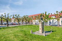 Noordsingel2064611slBergenopZoom-49.jpg