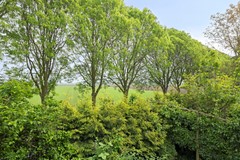 Dinteloord - Bloemendijk 4 - Buuron & Kuipers Makelaars-52.jpg