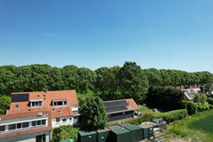 DJI_0817.JPG