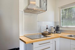 Galgendijk5a4671RHDinteloordNL-23.jpg