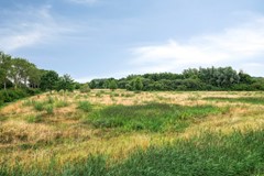 Oud-Vossemeer - Marehoekstraat 56 - Buuron & Kuipers Makelaars-46.jpg