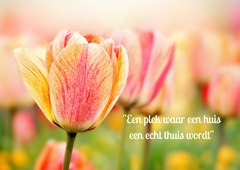 In verkoop:Boulevard Antverpia, 4703 AX, Roosendaal - Foto