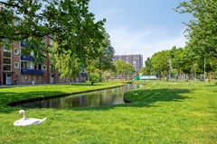 Surinamestraat963333ARZwijndrechtNL-44.jpg