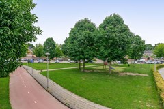 FH (27).jpg