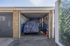 FH (27).jpg