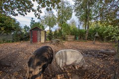 Nieuw in verkoop:Oude Thornerweg 13, 6097 NB Heel - Foto