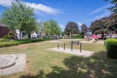 IMG_0137.jpg