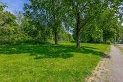 FH (49).jpg