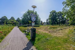 FH (41).jpg