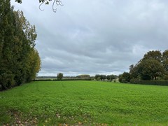 IMG_0997.jpg