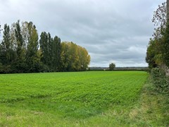 IMG_0999.jpg