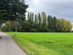 IMG_1001.jpg