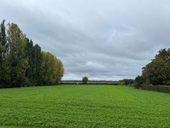 IMG_0998.jpg