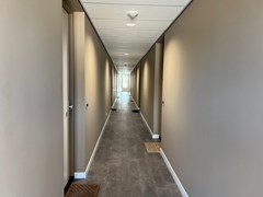 thumbnail_IMG_2482.jpg